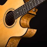 Small Jumbo Guitar Cutaway